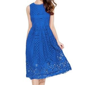 Blue Lace Midi Dress